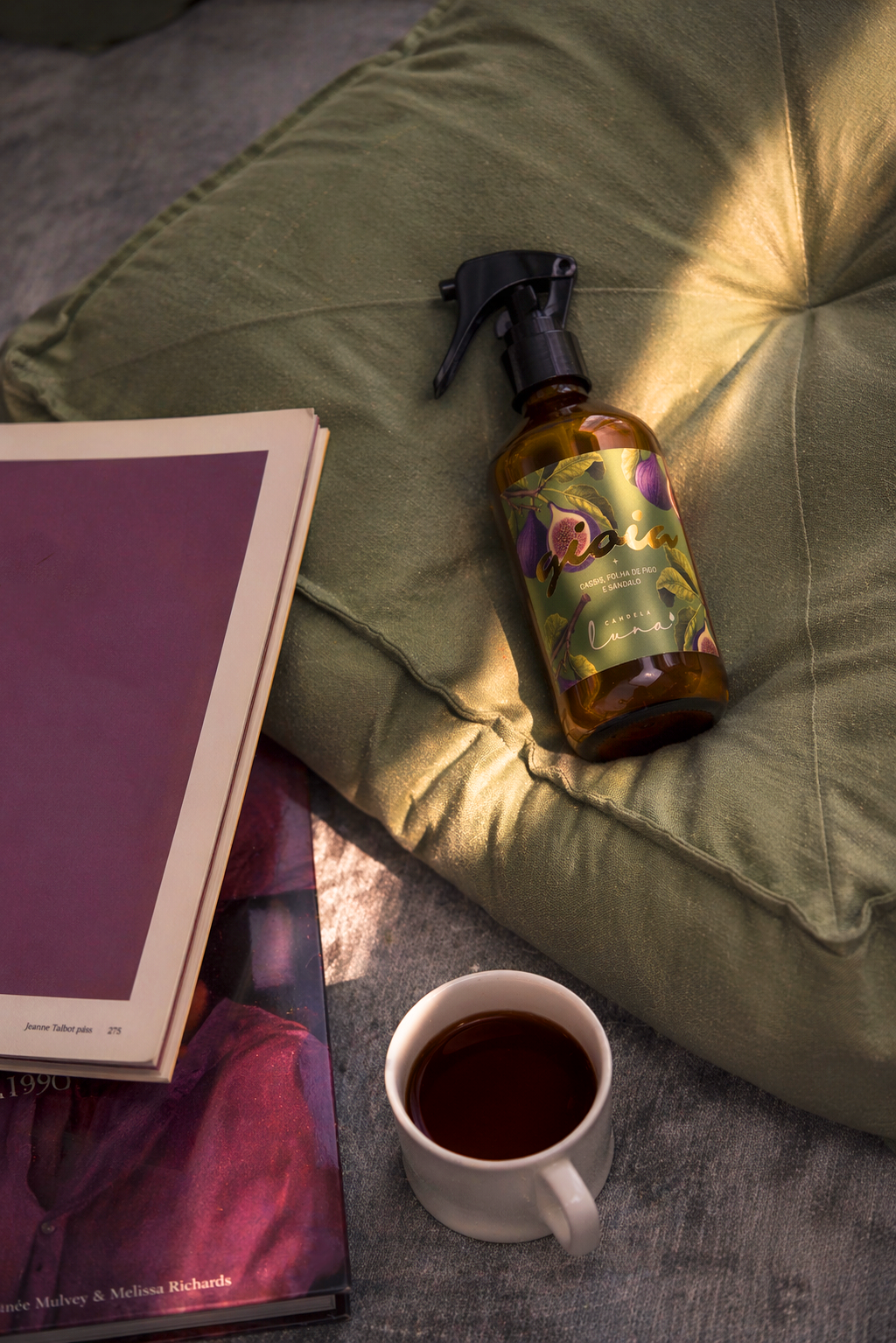 Tarde silenciosa entre livros e a luz dourada com Gioia